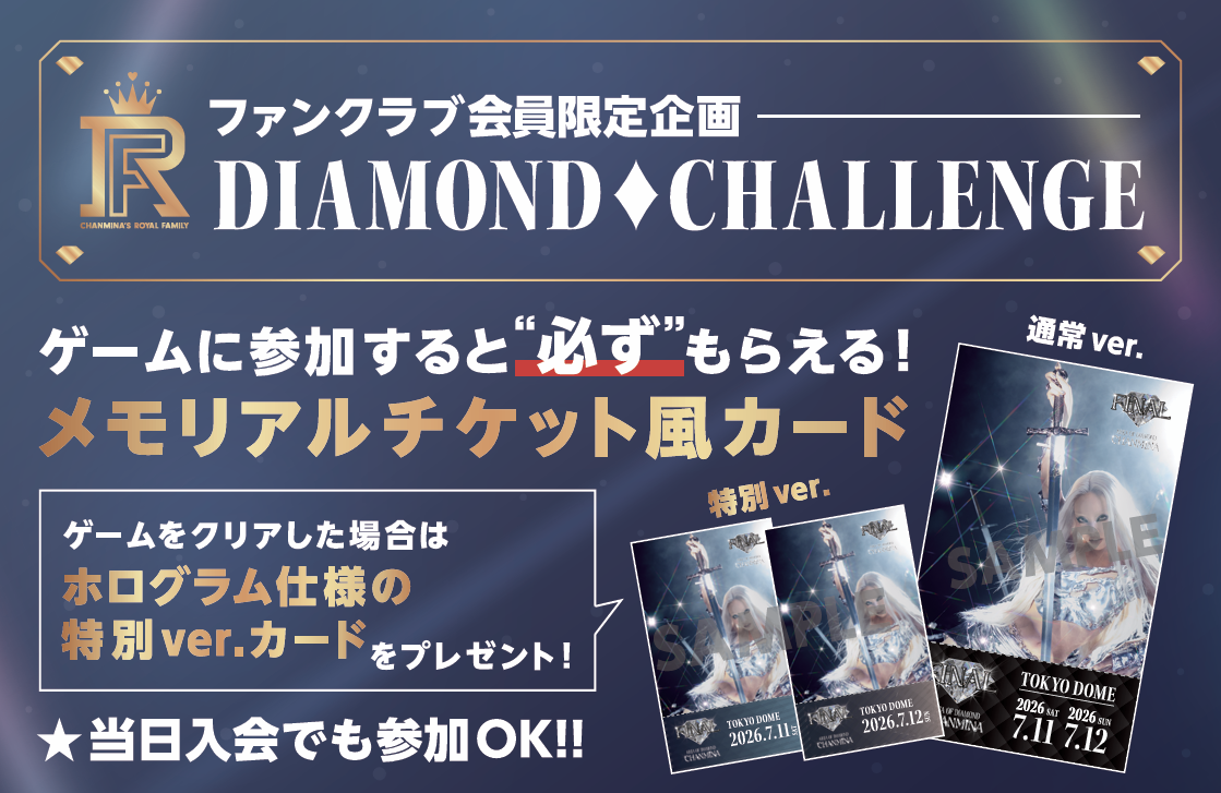ちゃんみな AOD FINALダイアモンドクラス特典バッグ・ラグマット ちゃんみな AOD FINALダイアモンドクラス特典バッグ・ラグマット