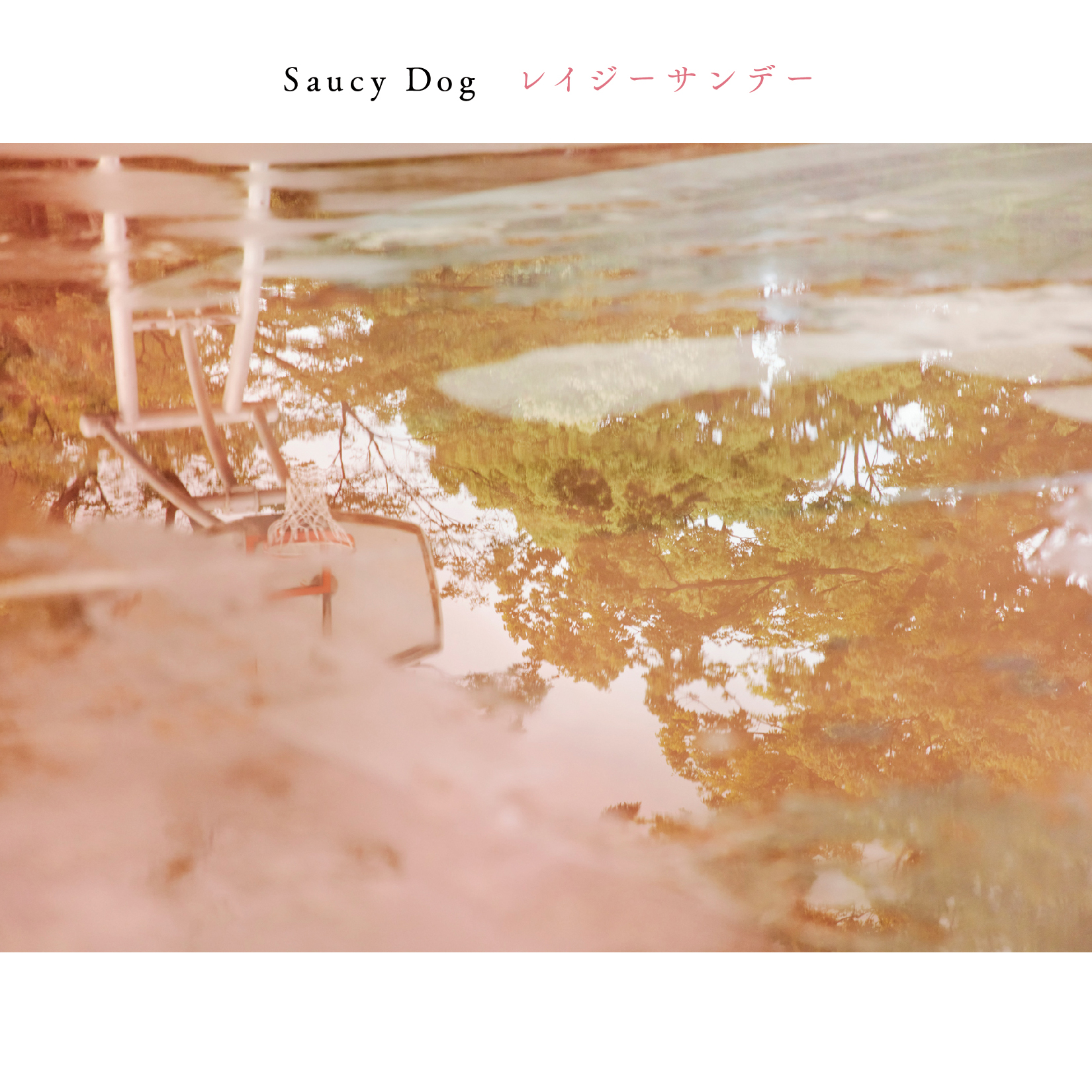 値下げ！】 Saucy Dog 廃盤 嘘月の雨の理由(ウソツキノナミダノワケ)の