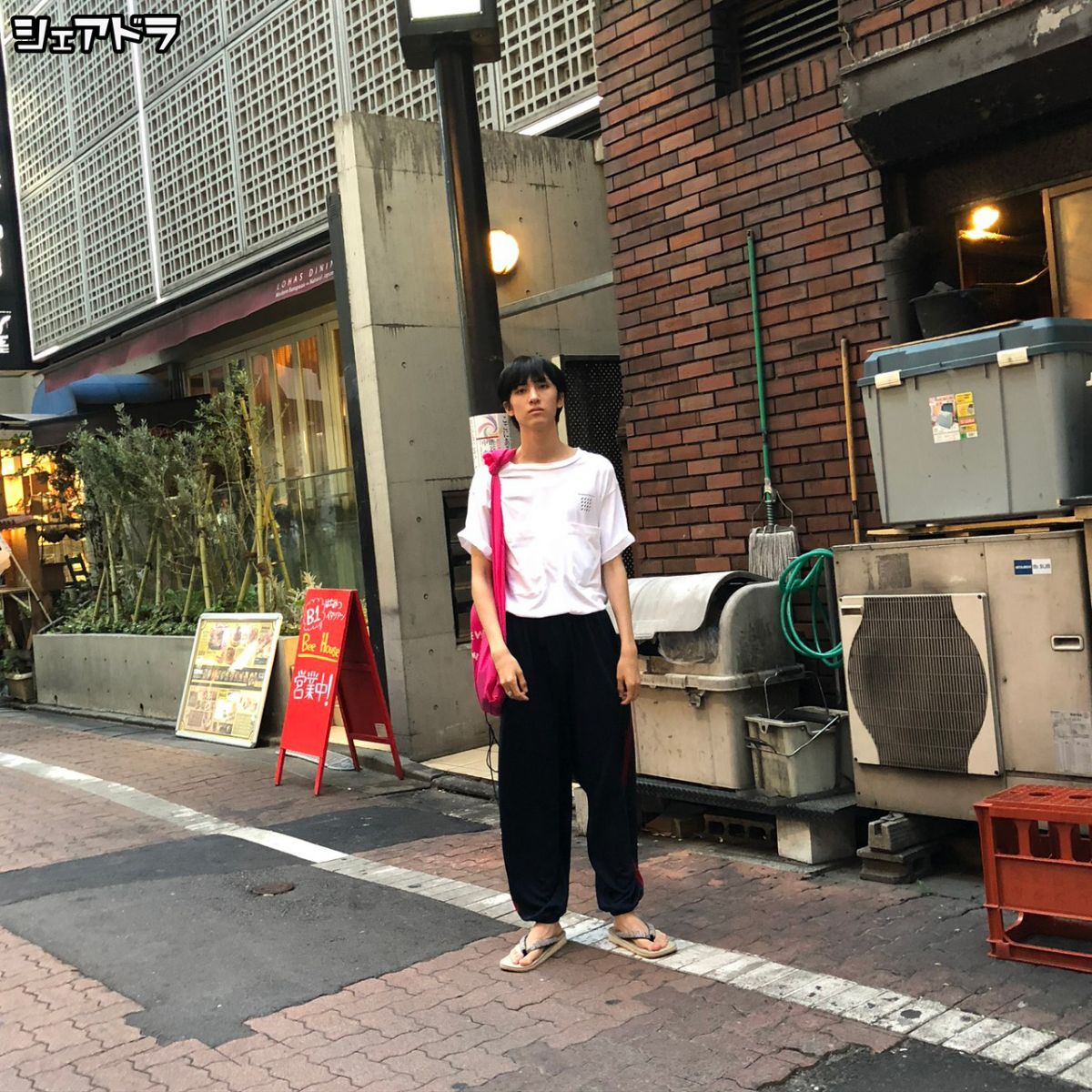 【ジャン】シェアドラ #264