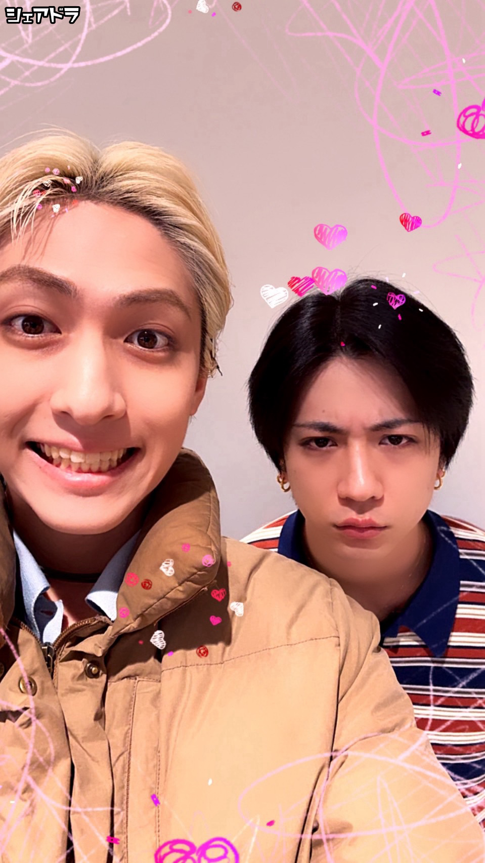 【毅】シェアドラ #245