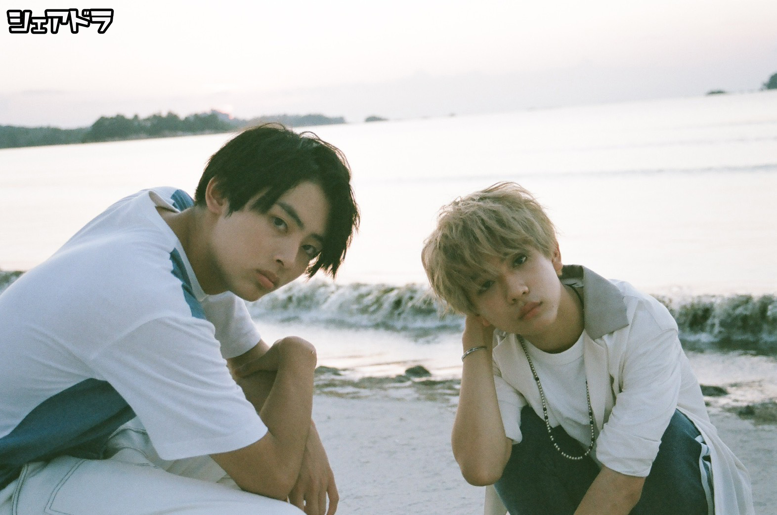 【ジャン】シェアドラ #229