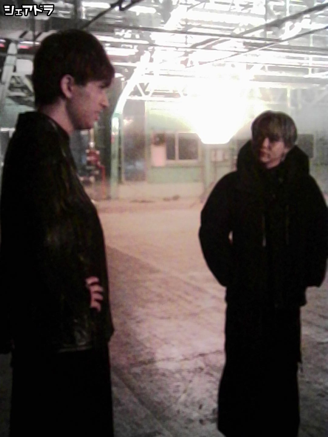 【楽】シェアドラ #238