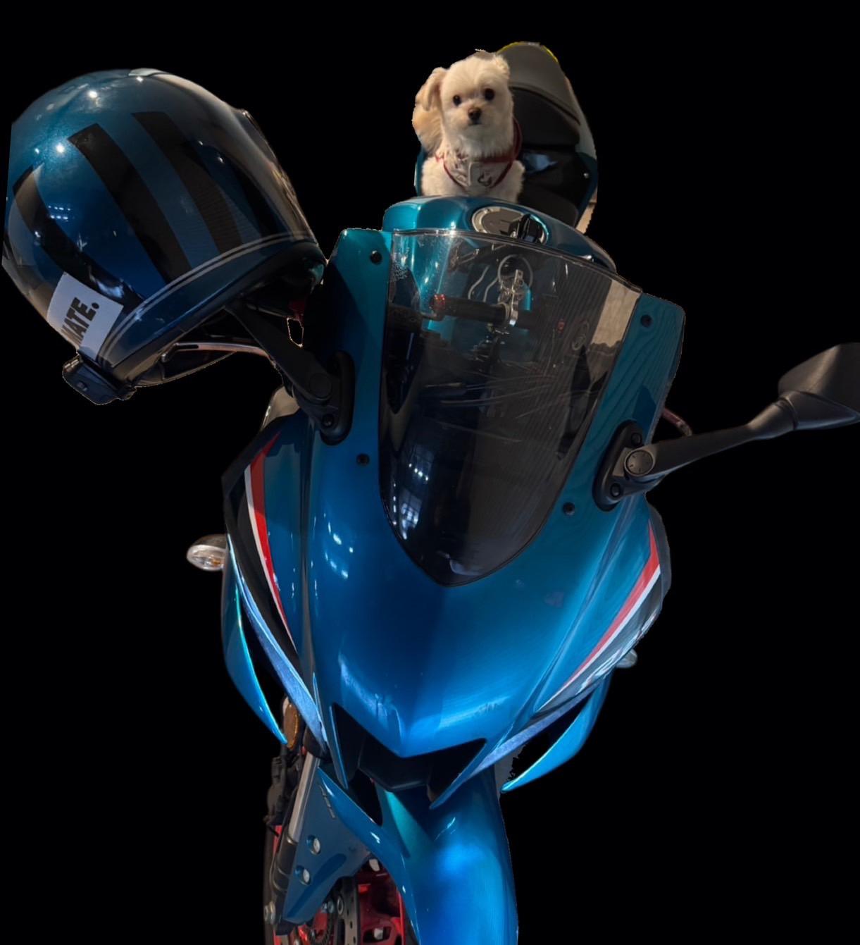 最近ハマってること！