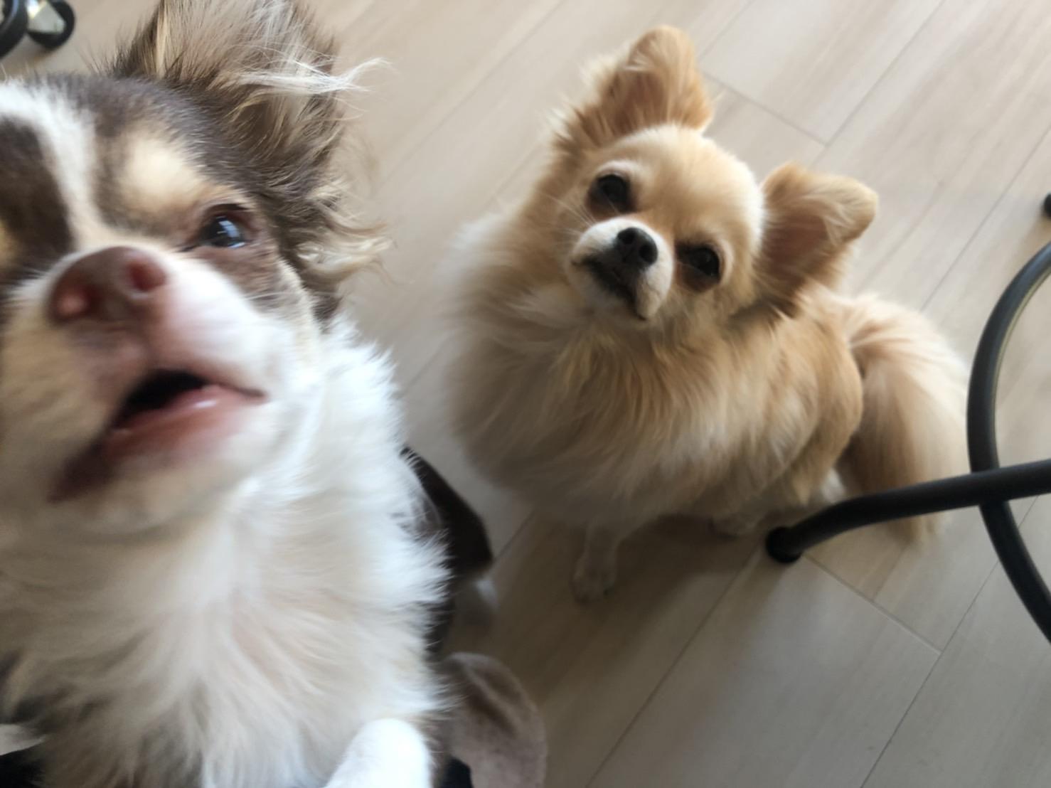 ひま
