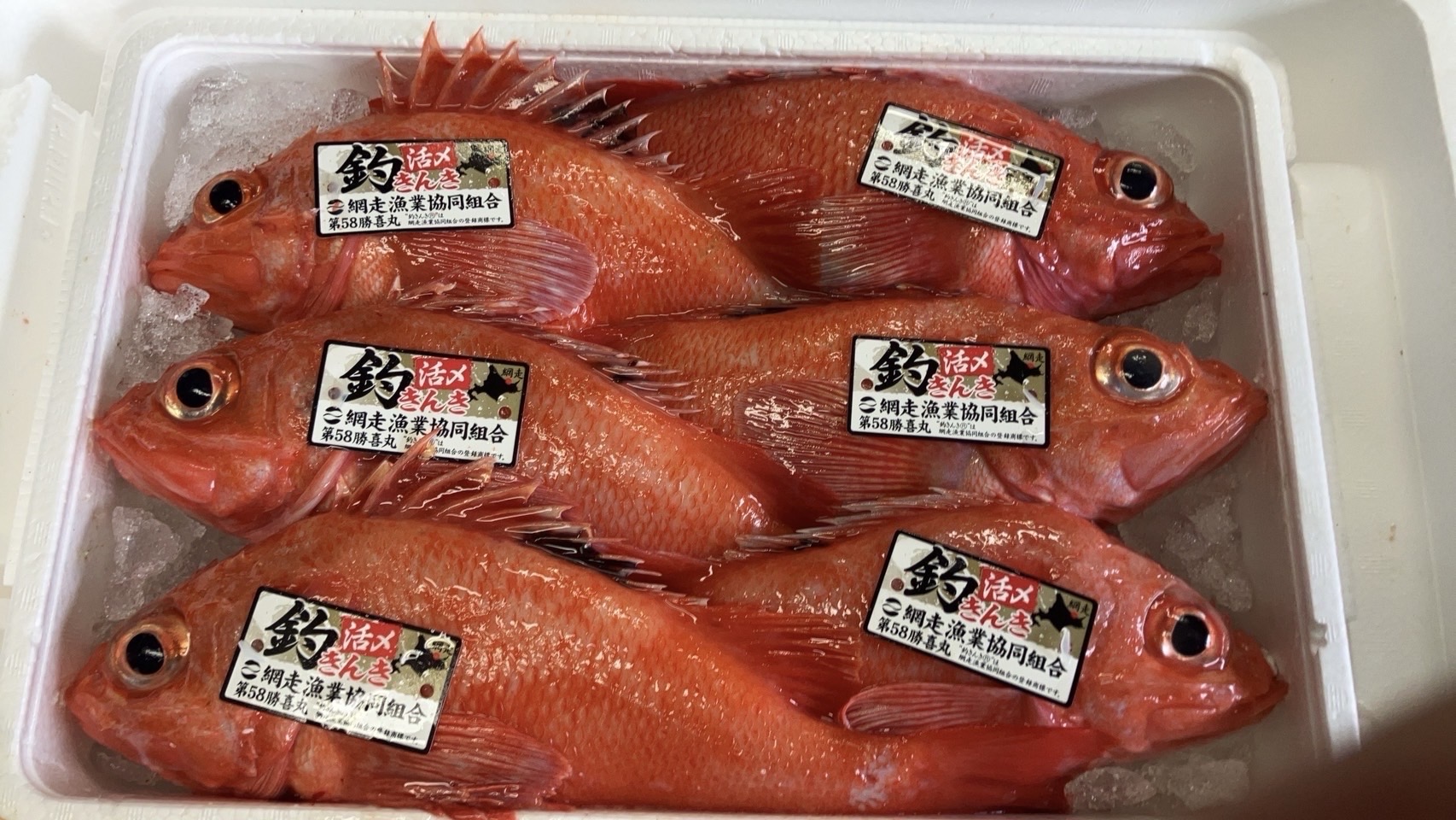 きんき