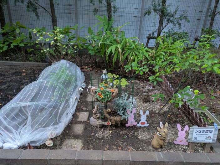 中央区勝どきの「うさぎ農園」