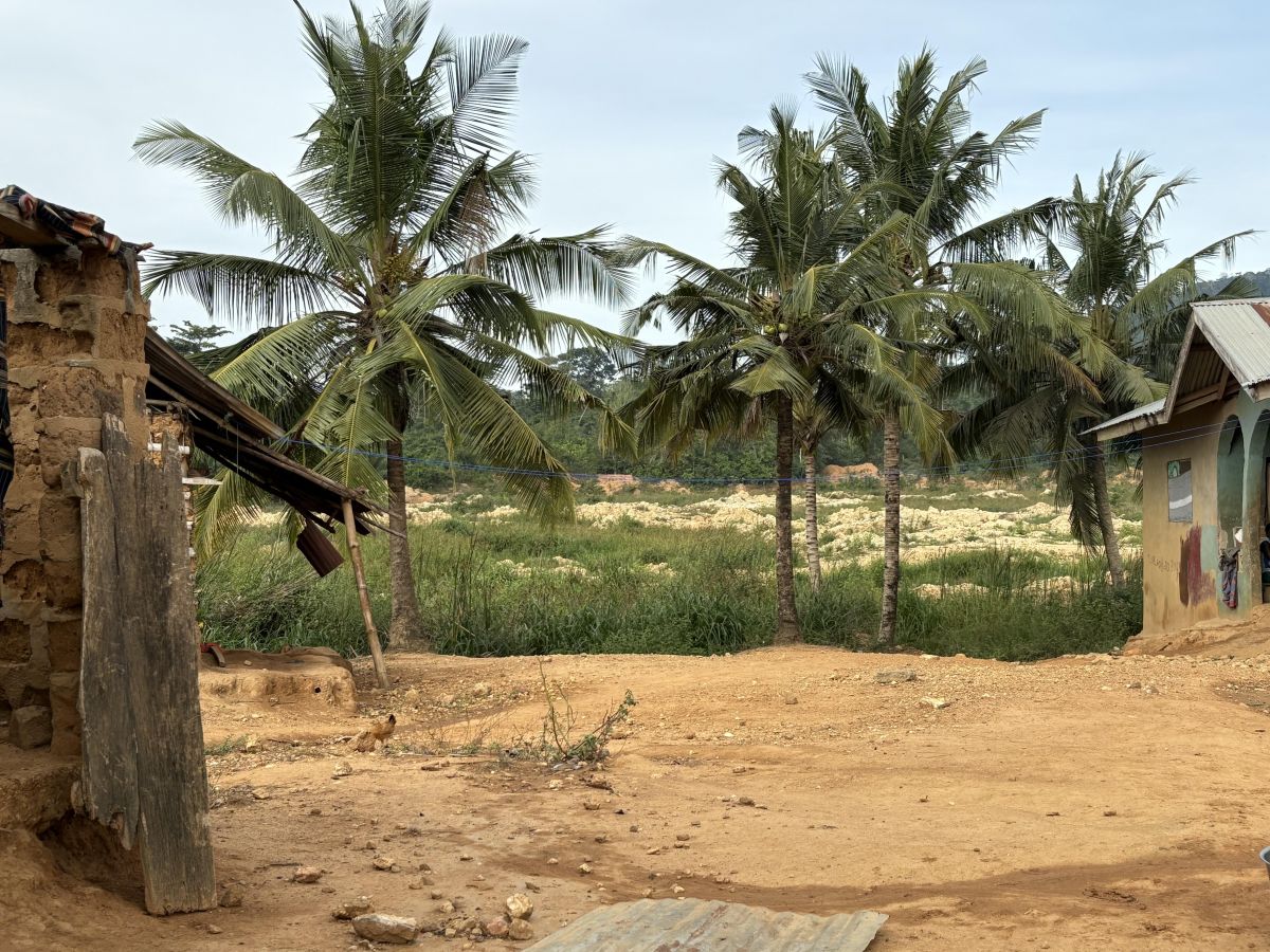 【ガーナ便り】ガーナ・カカオ生産地に広がる「ガラムセイ」と児童労働の現 実 ― ILO プロジェクト現地写真レポート ―