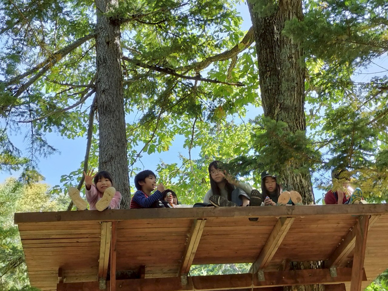 みどりの月間は、森へ出かけよう！～東京マラソンチャリティの森林活動事例のご紹介～