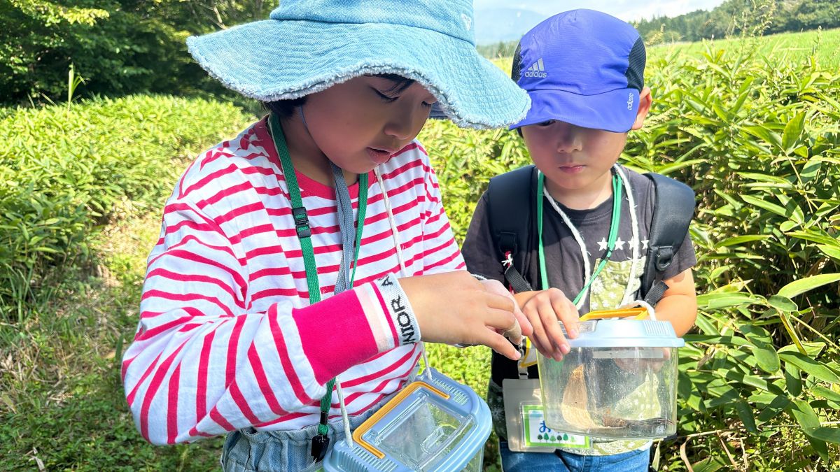 教育の力で、 環境問題を解決する。日本環境教育フォーラム（JEEF）