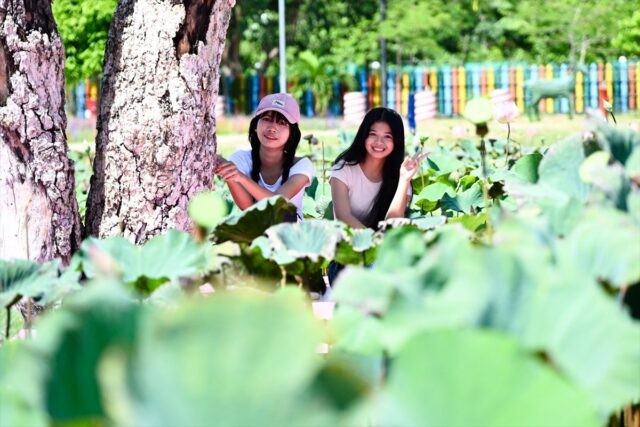 国境なき子どもたち（KnK）カンボジアでの活動報告です