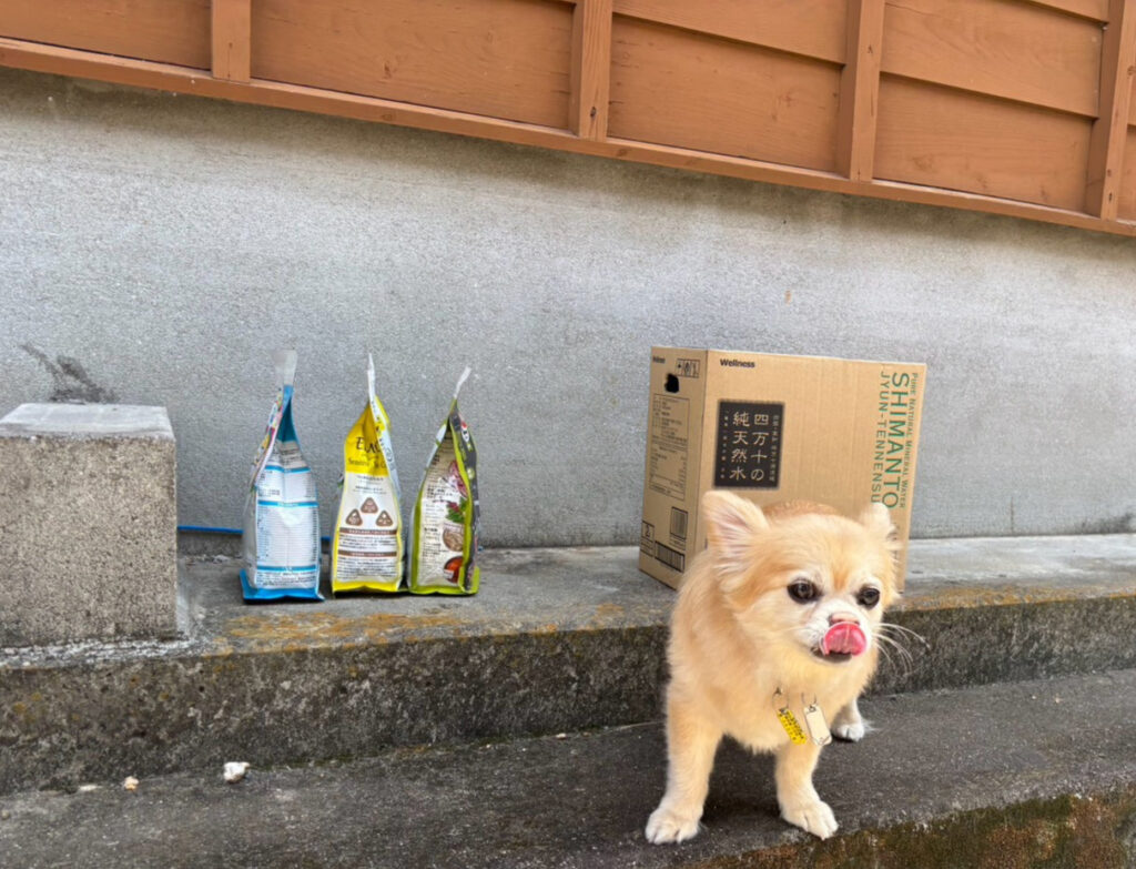 【ピースワンコ活動報告】令和8年熊本地震・緊急ペット支援