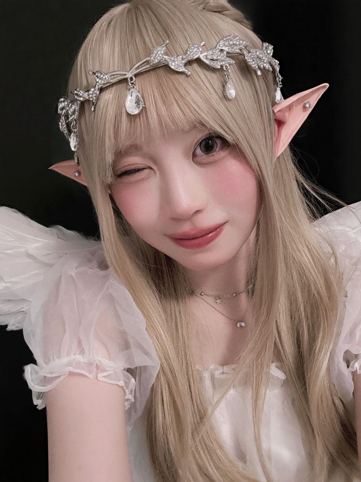 プレビュー画像 2