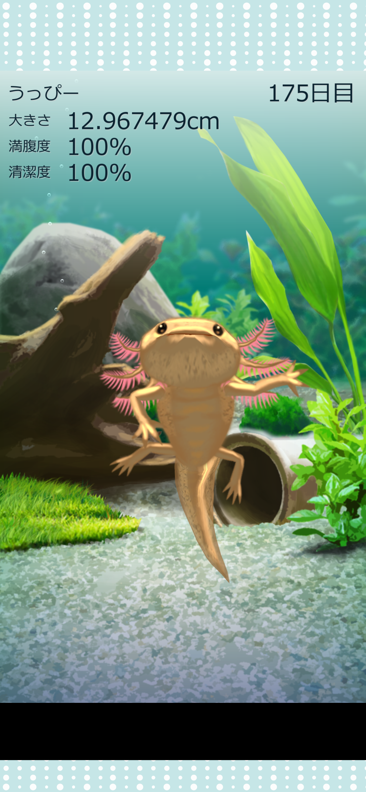 プレビュー画像 4