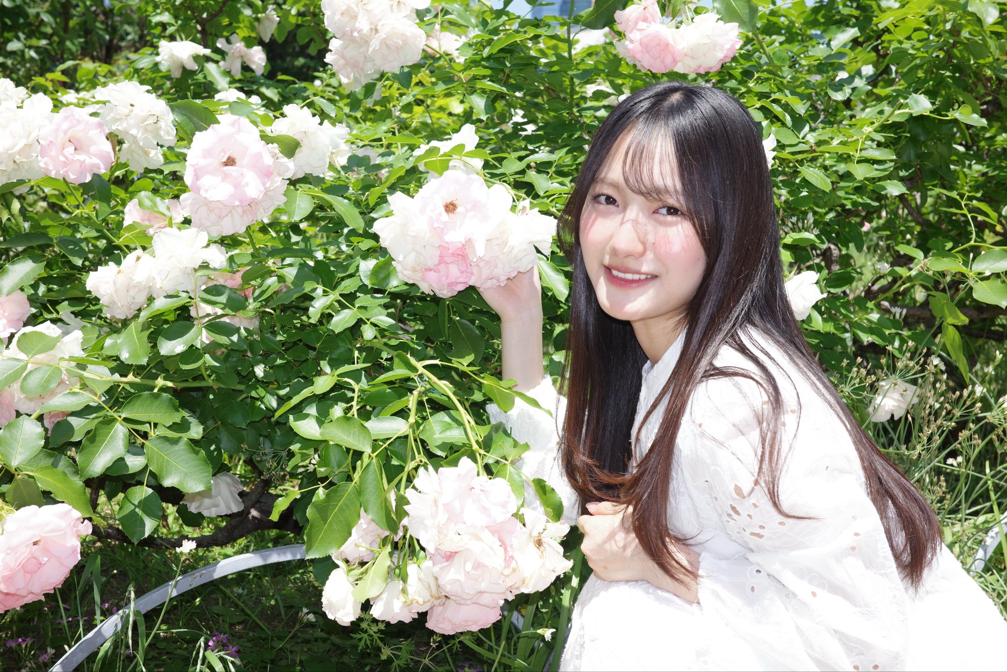 ゆうほたん