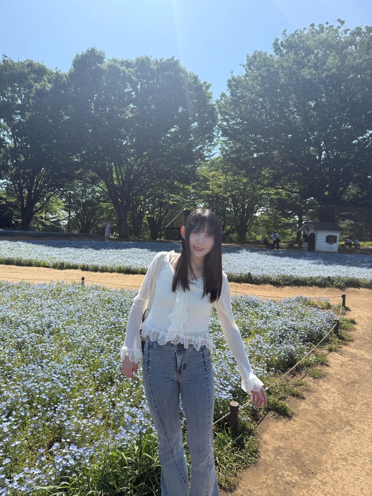 ネモフィラ(* ᴗ͈ˬᴗ͈) 念願ネモフィラ