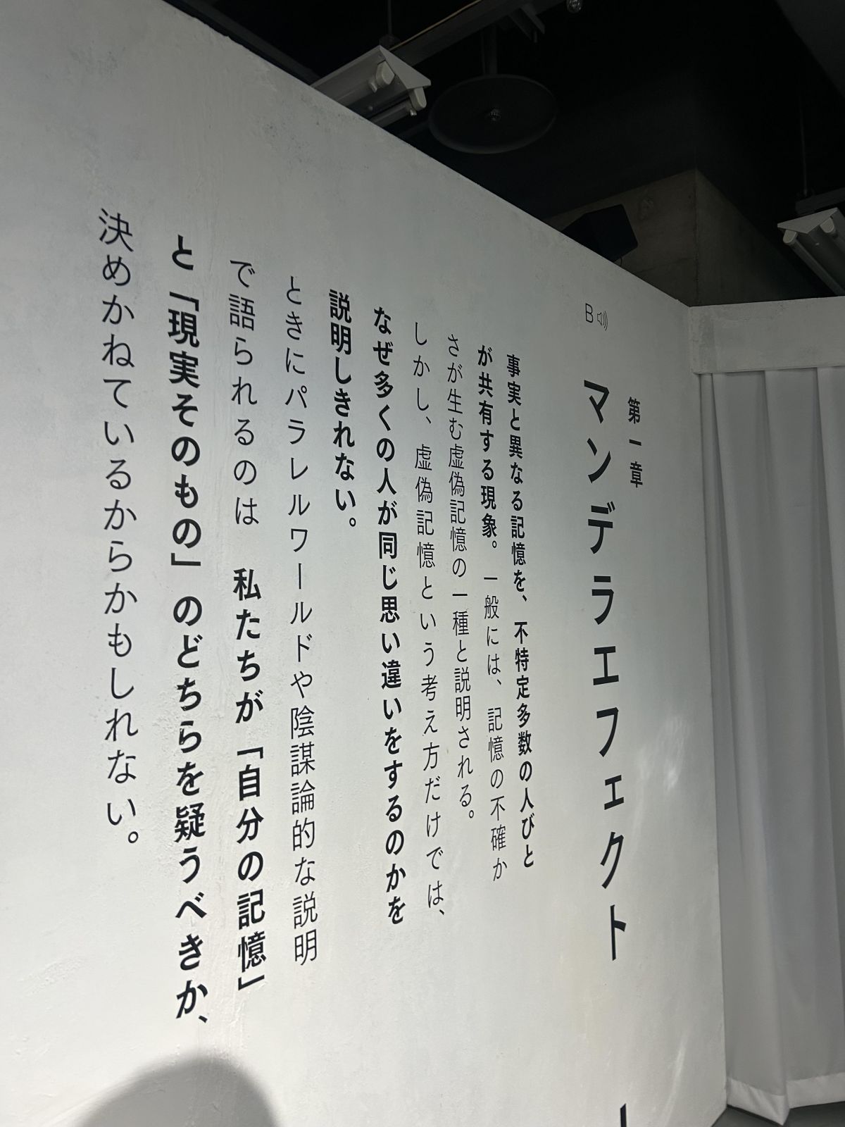 プレビュー画像 2
