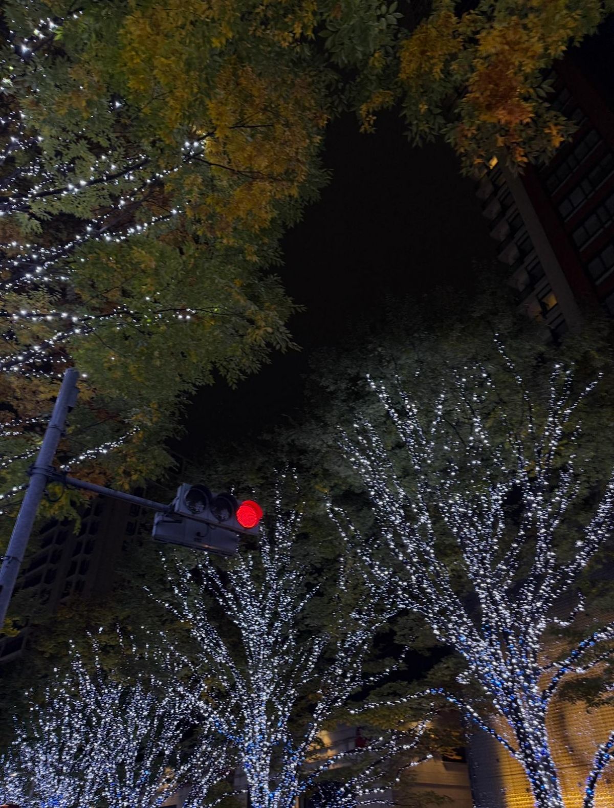 プレビュー画像 3