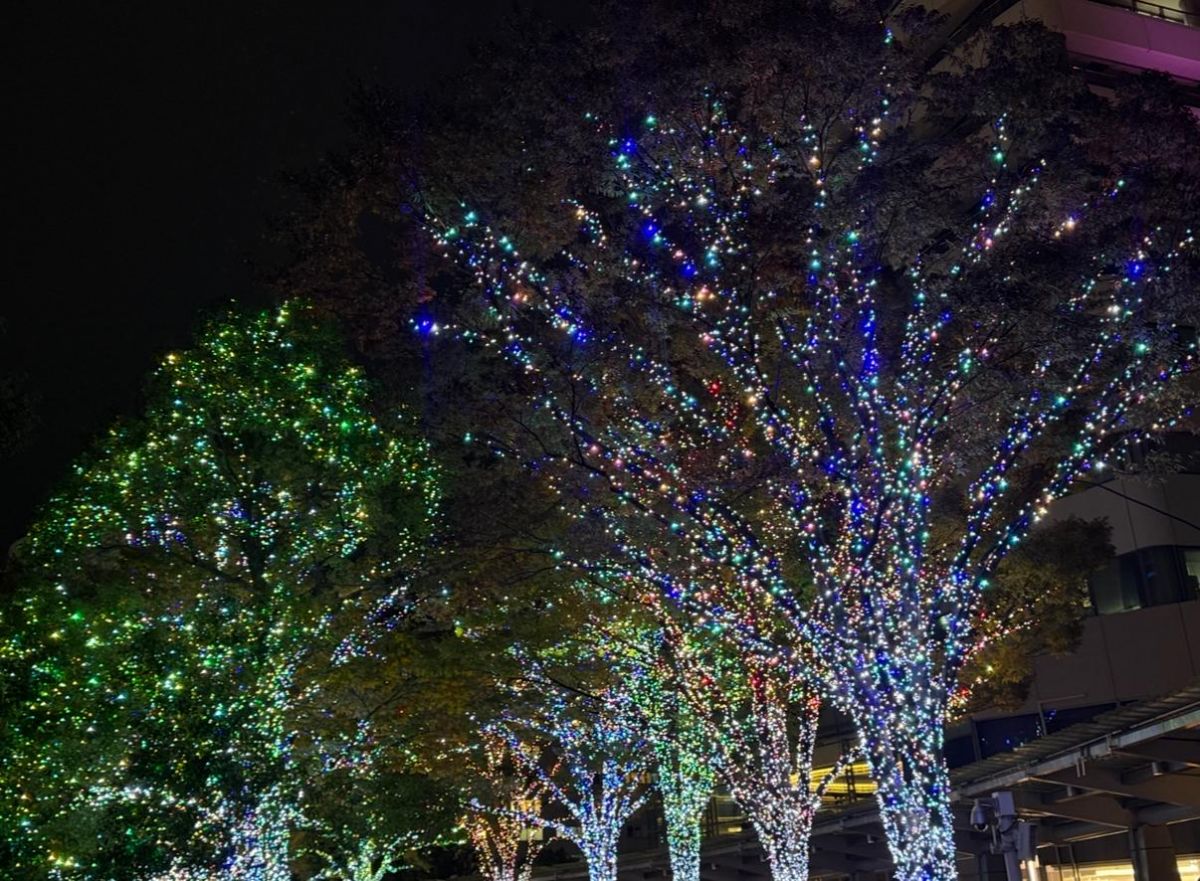 プレビュー画像 2