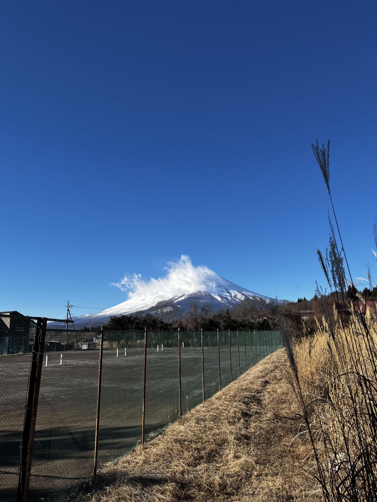 プレビュー画像 1