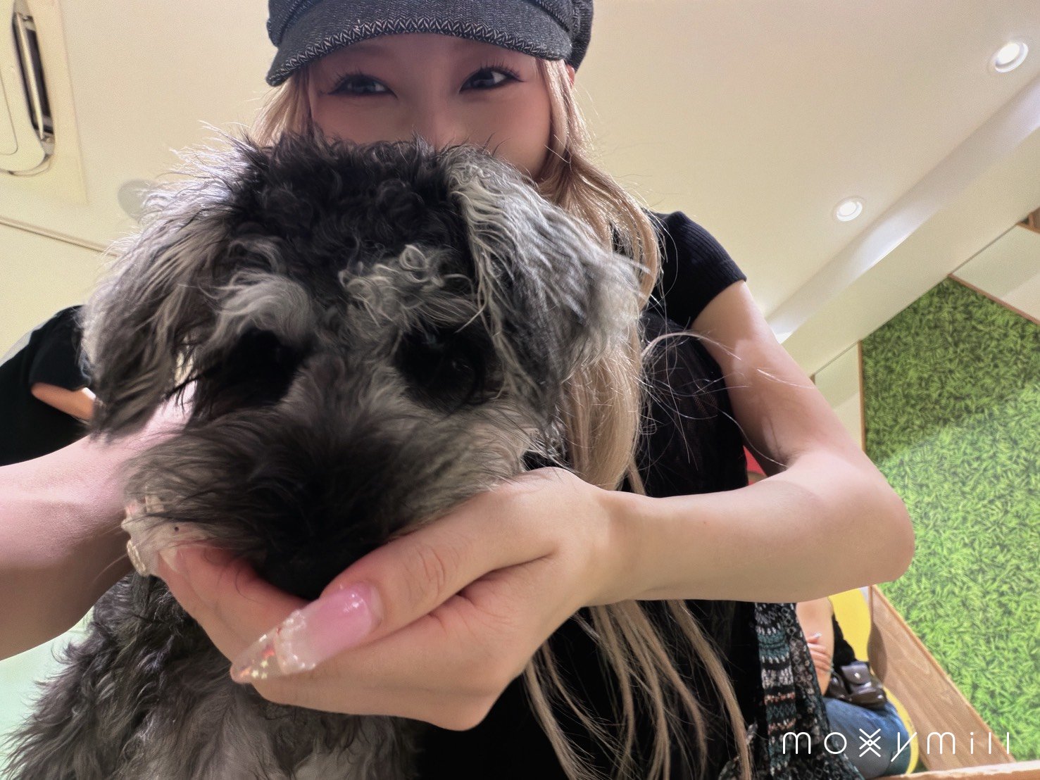 わんこまみれ！！🐶💕💕