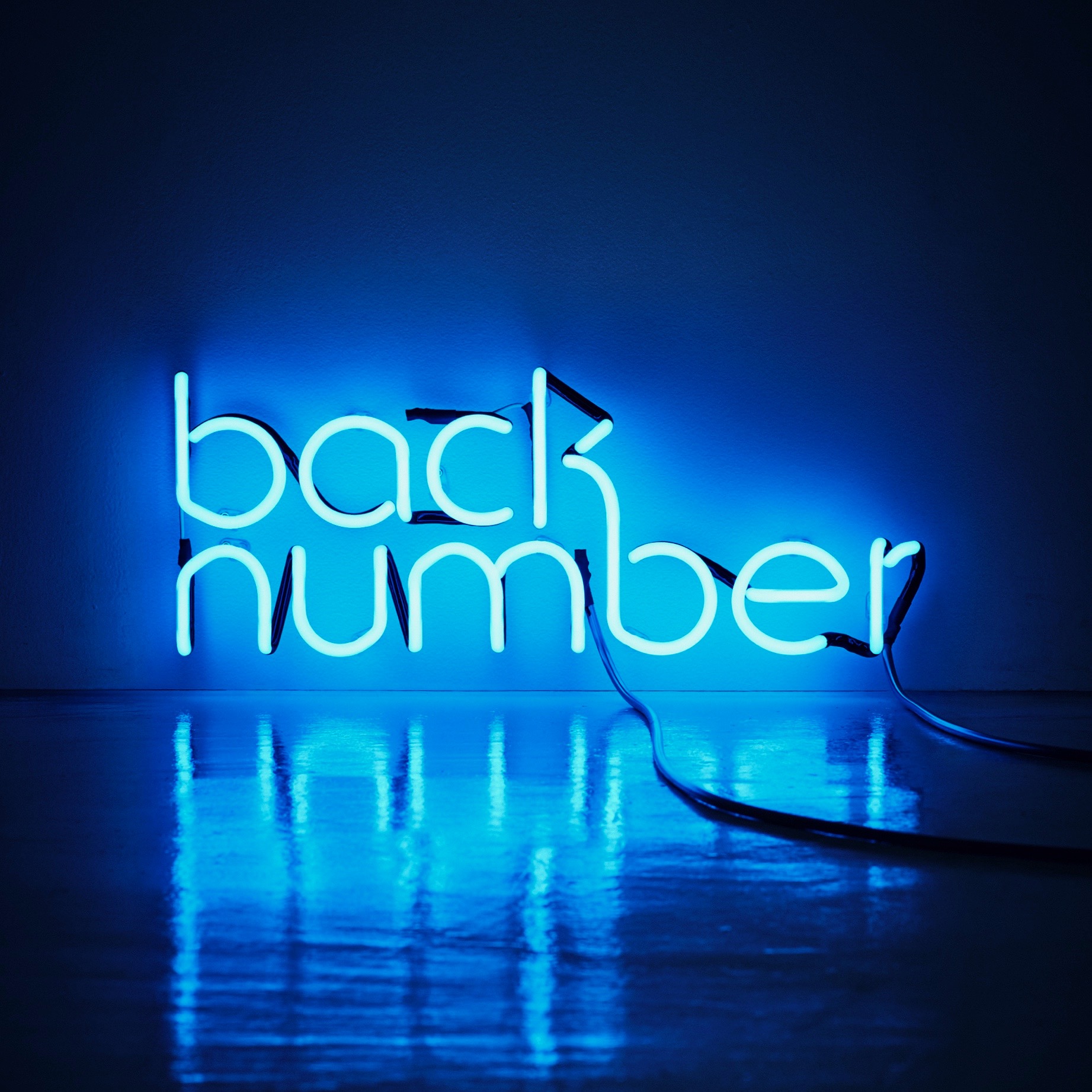 Back Number バックナンバー Official Web Site Disc
