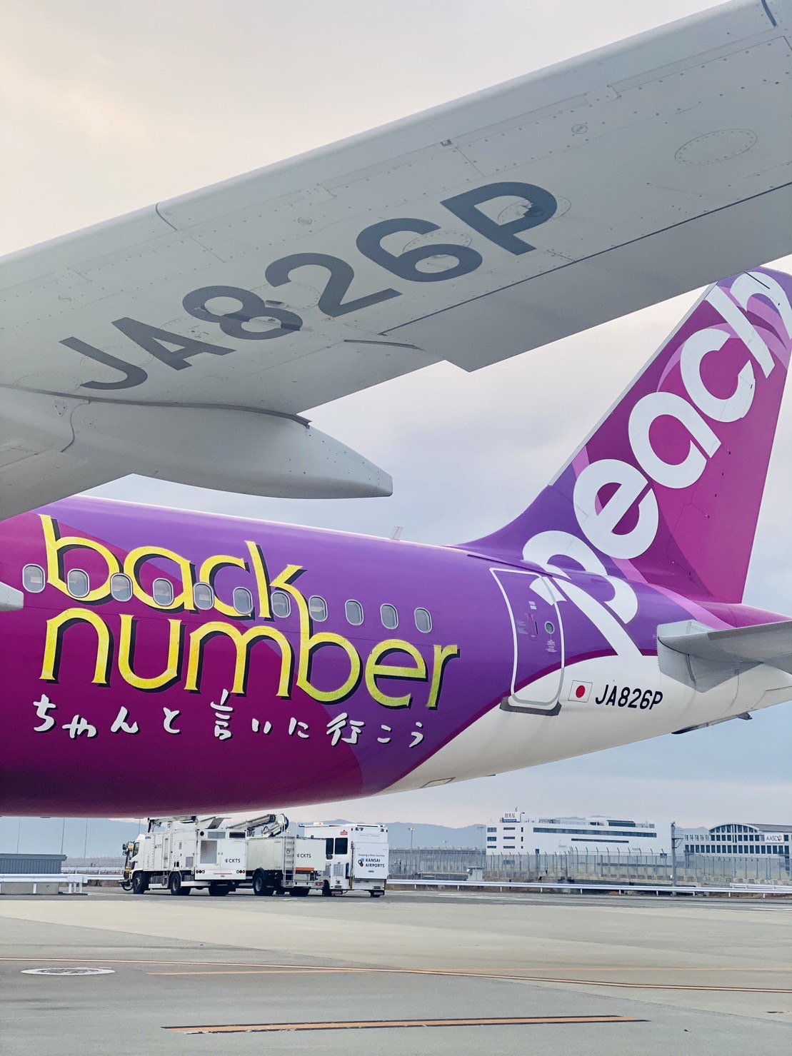 【関空】back number × Peach4点セット