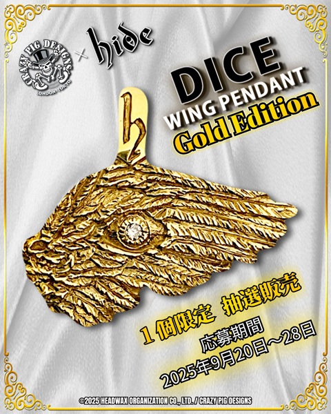 懸賞当選品　UV　雑誌 BIG ピック ピック hide hide レア 懸賞当選品 UV 雑誌 BIG ピック ピック hide hide レア 激レア