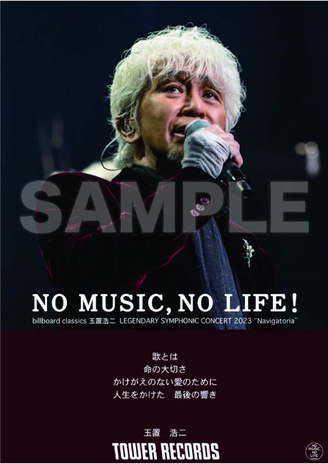 会場限定特典☆タワーレコード「NO MUSIC, NO LIFE.」ポスター｜玉置 