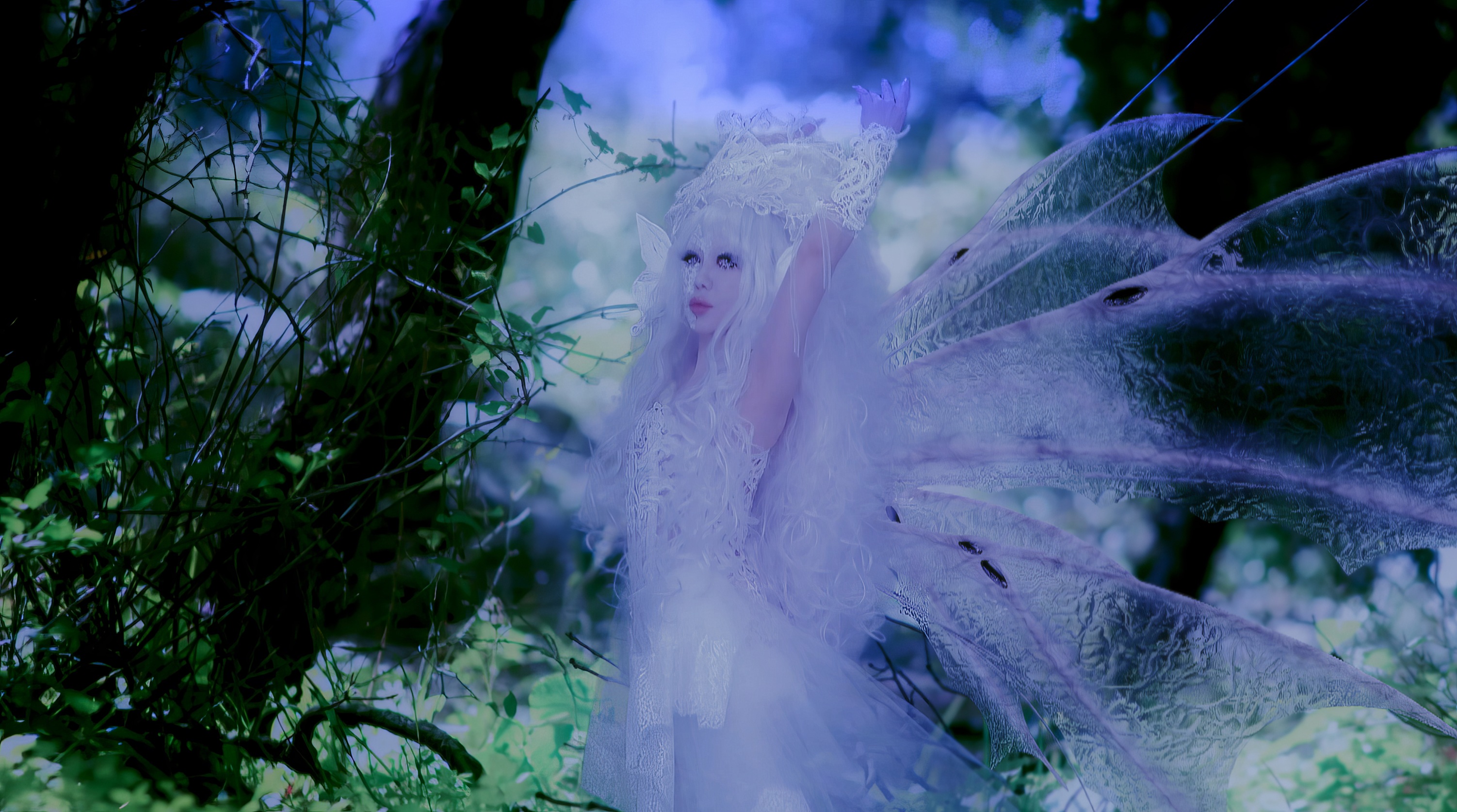 ALI PROJECT A級ヒットパレード2026 「魔夏の夜の夢～暗黒フェアリーランド」